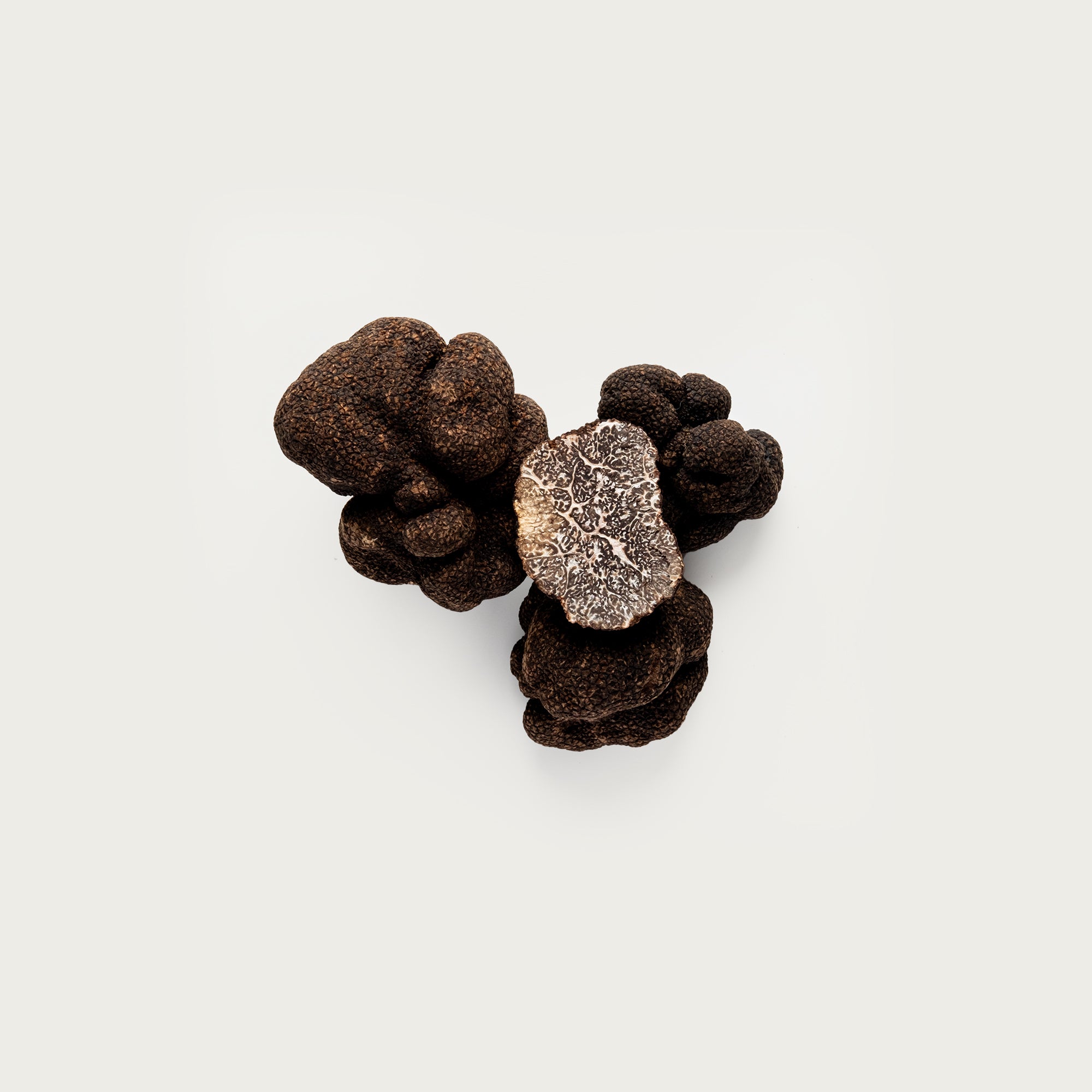 Black Truffles TrufflEat