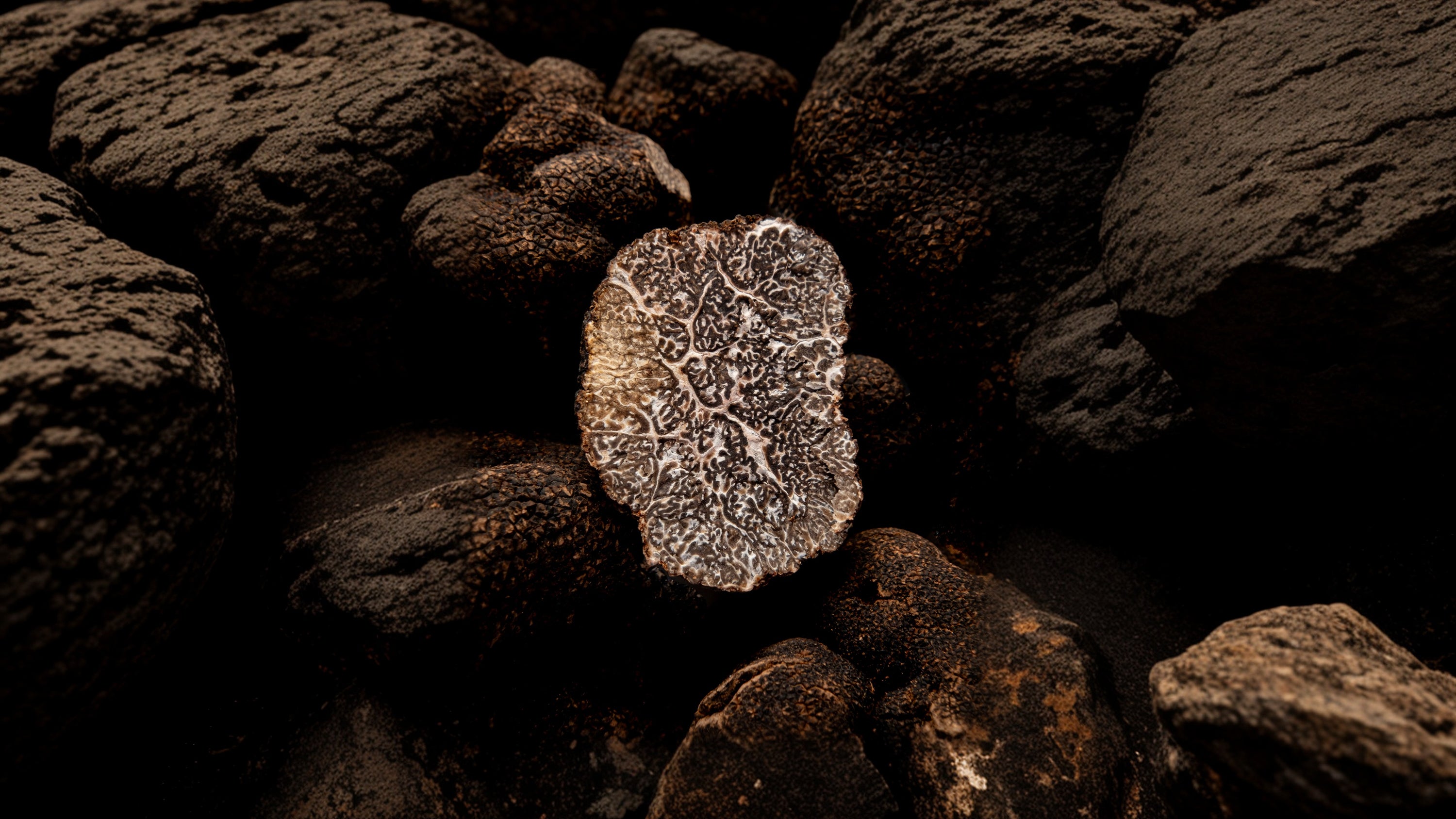 Unexpected Truffle Facts