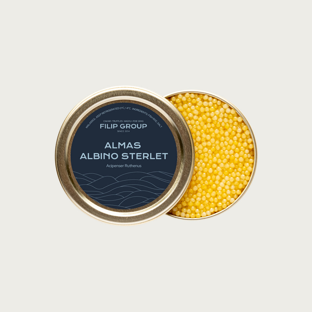 Almas Albino Sterlet