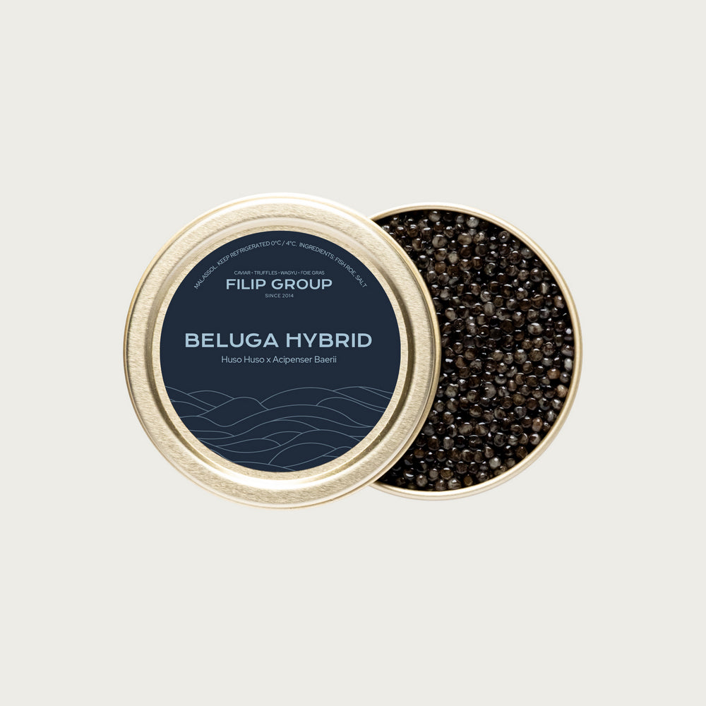 Beluga Hybrid