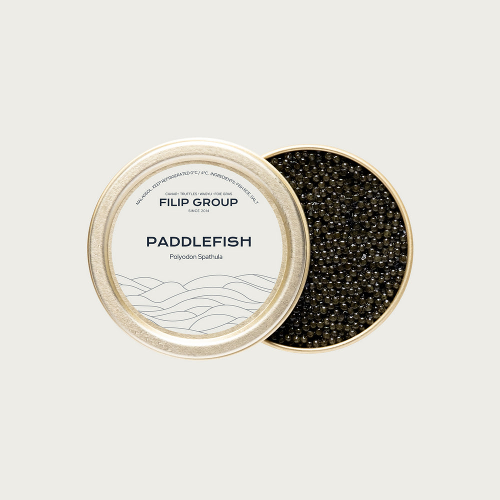Paddlefish