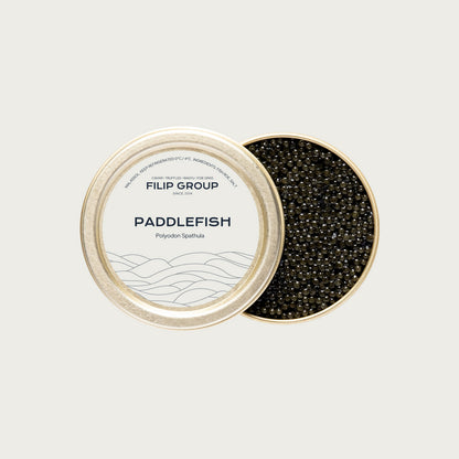 Paddlefish