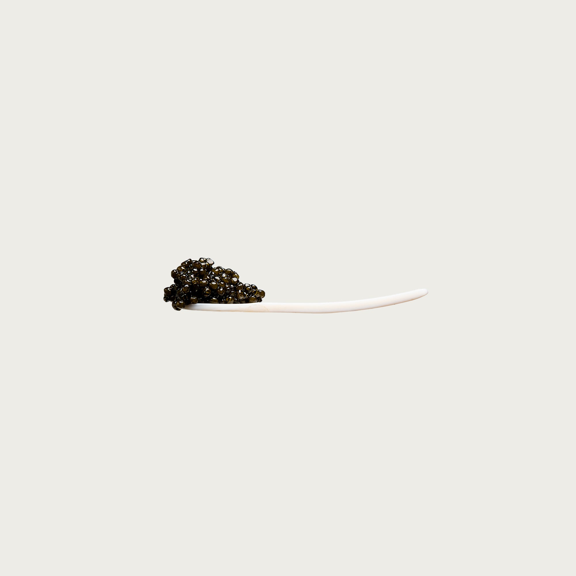 Caviar Spoon