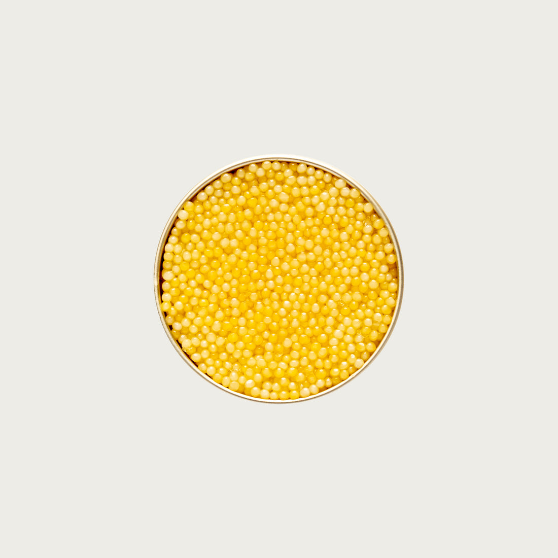 Almas Albino Sterlet