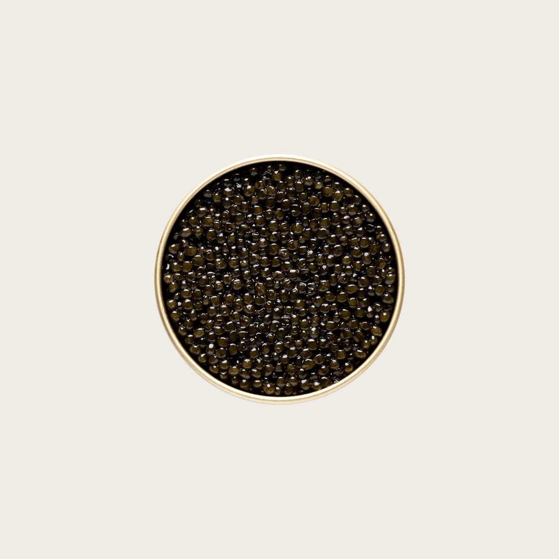 Kaluga Fusion Classic