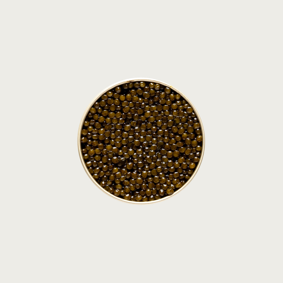 Kaluga Gold