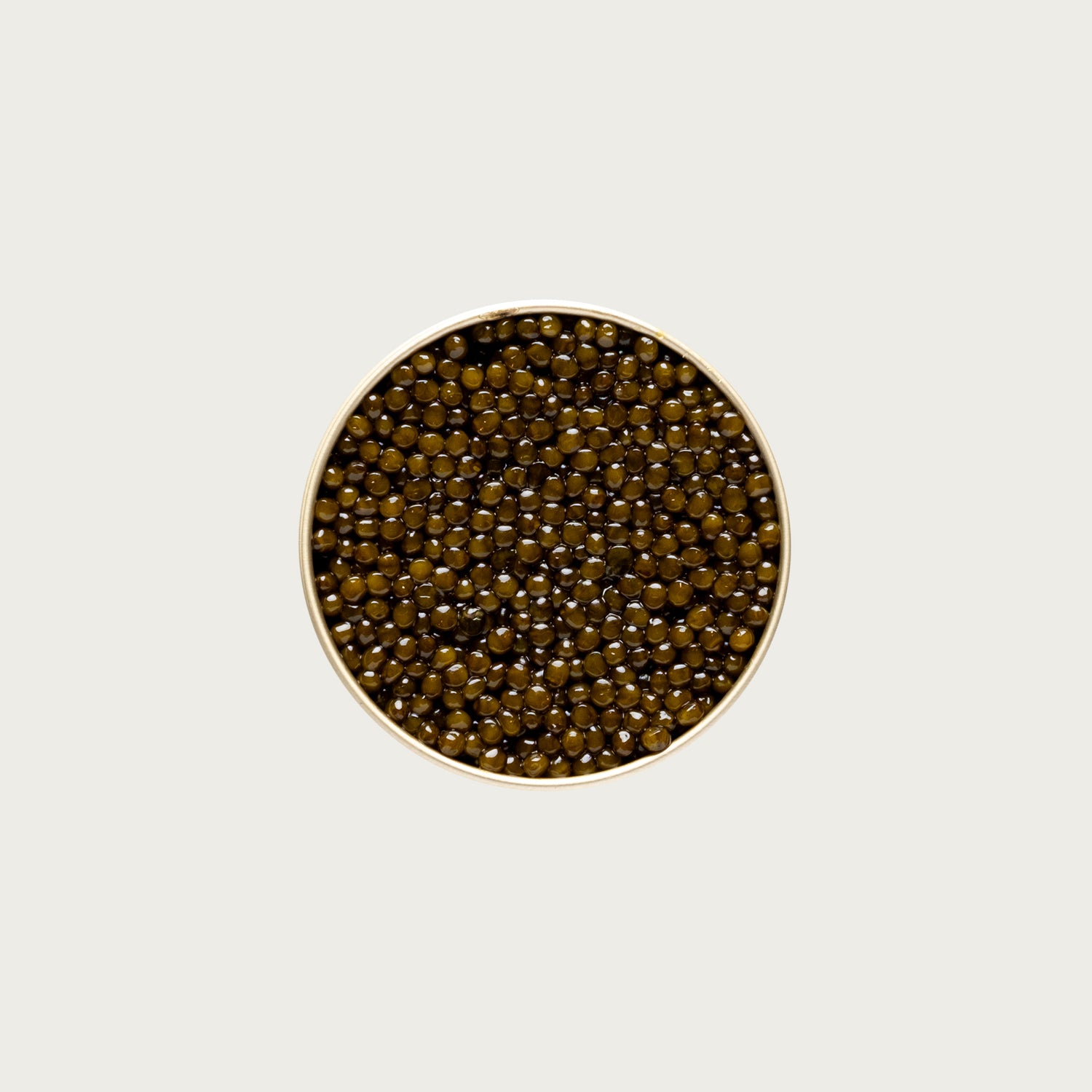 Kaluga Gold