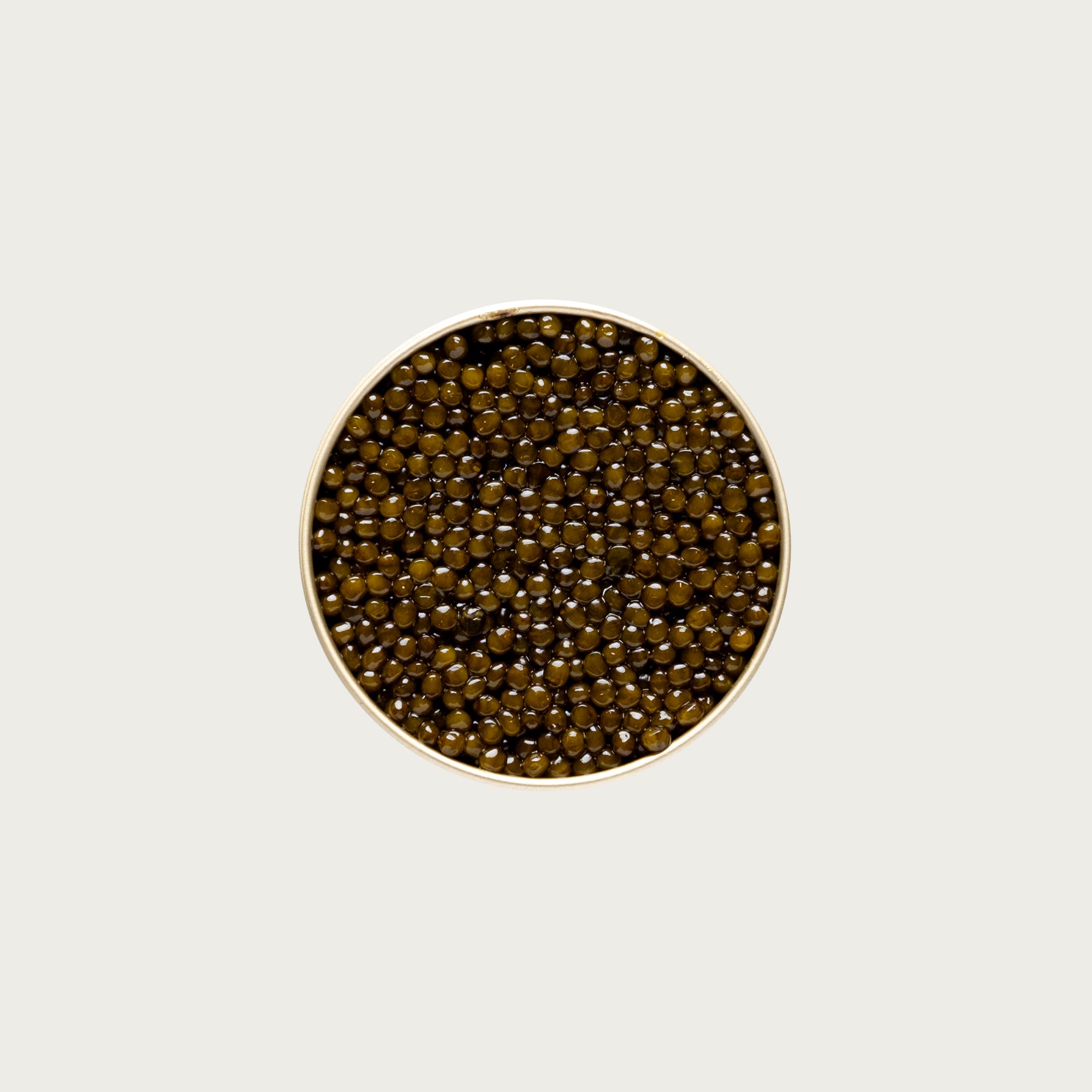 Kaluga Gold