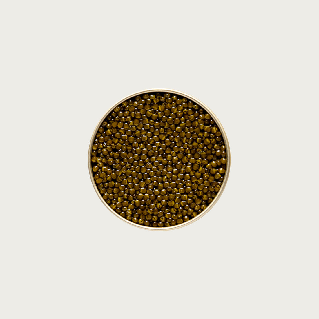 Osetra Gold