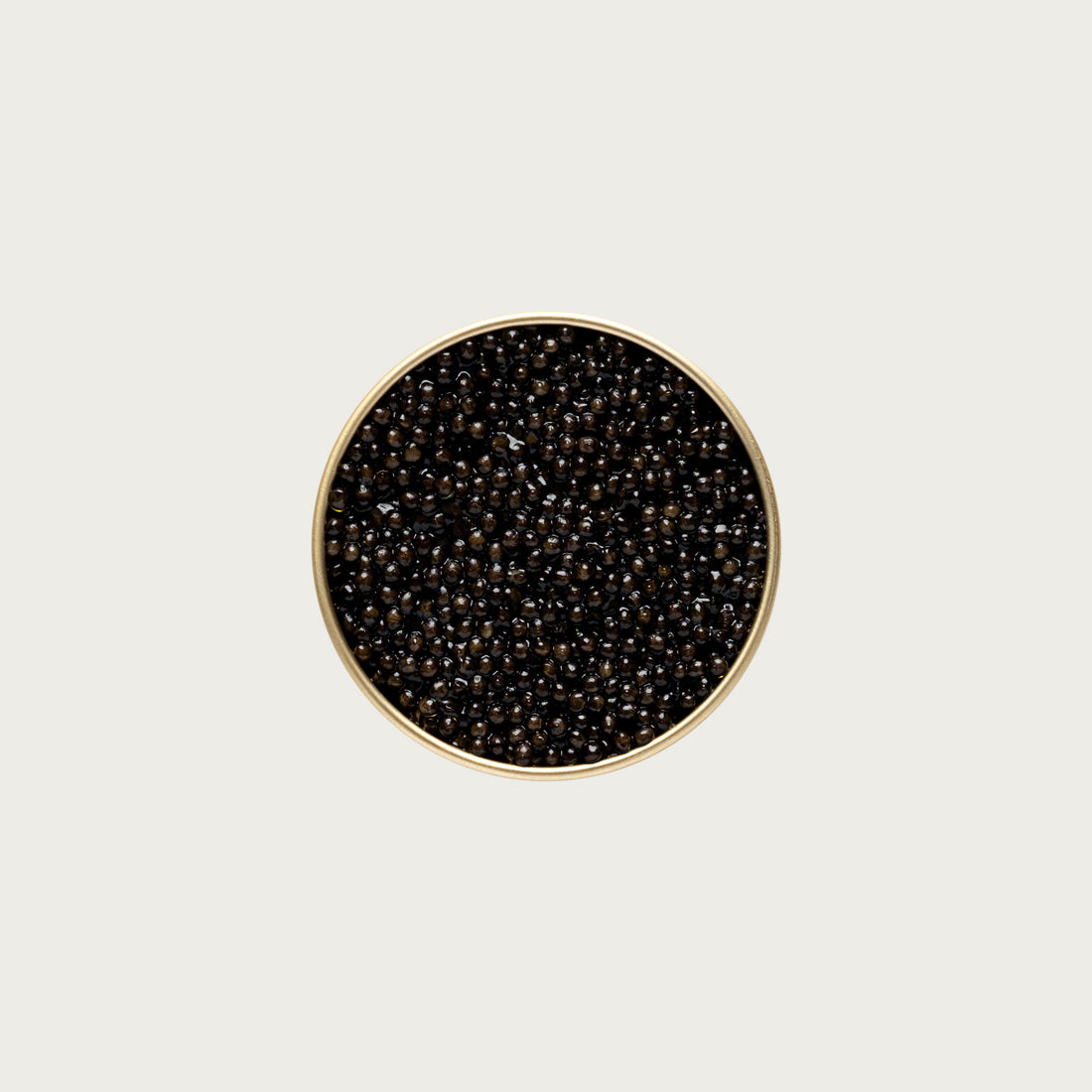 Pan Caviar &amp; Filip Group Natural Baerii Siberian Sturgeon