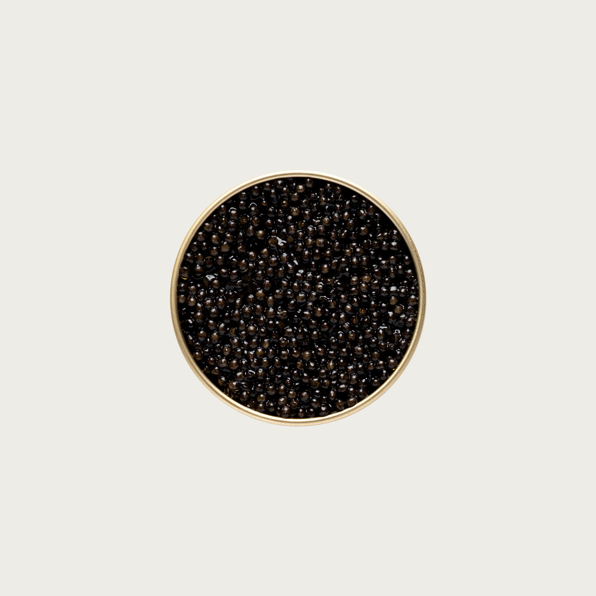 Pan Caviar &amp; Filip Group Natural Baerii Siberian Sturgeon