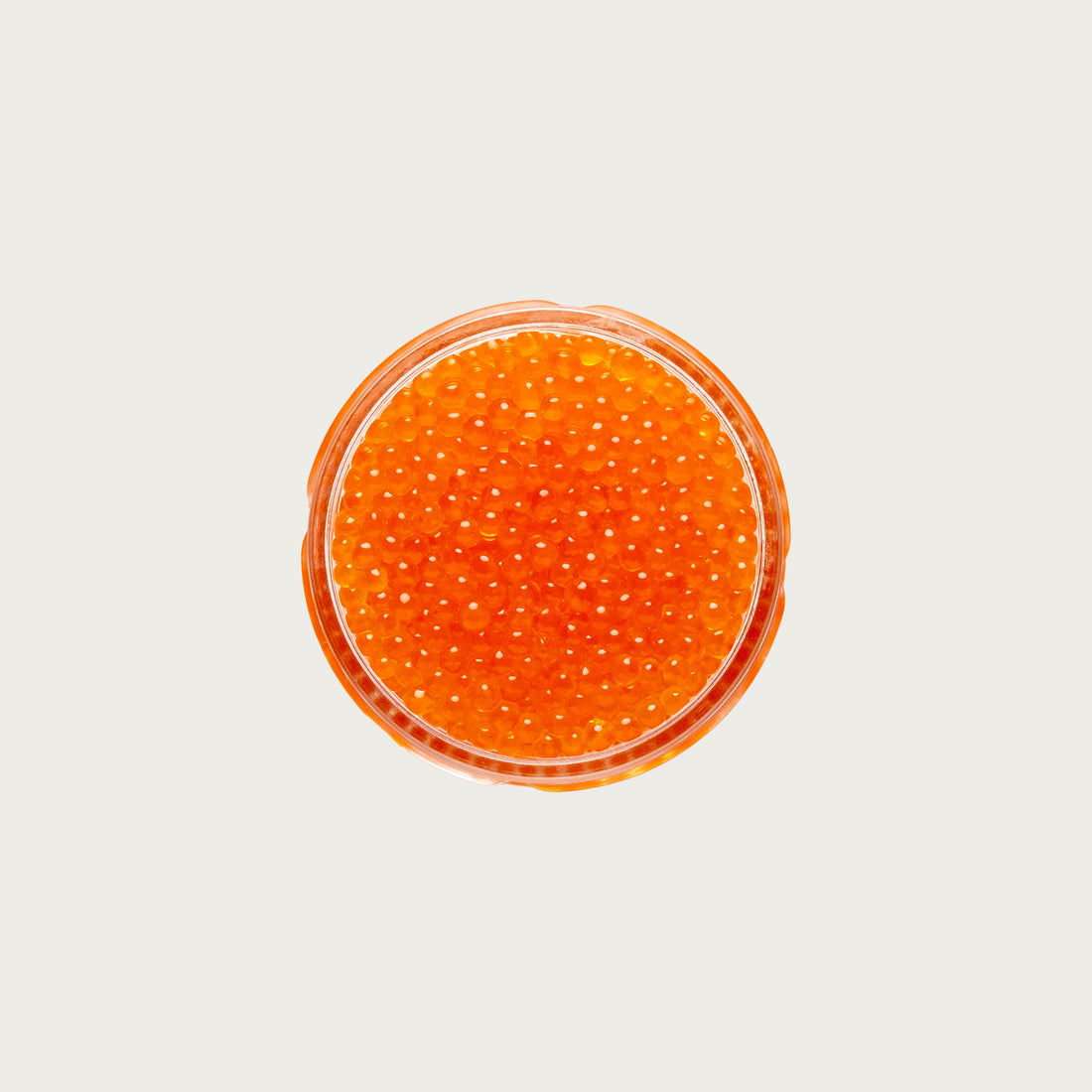 Trout Roe