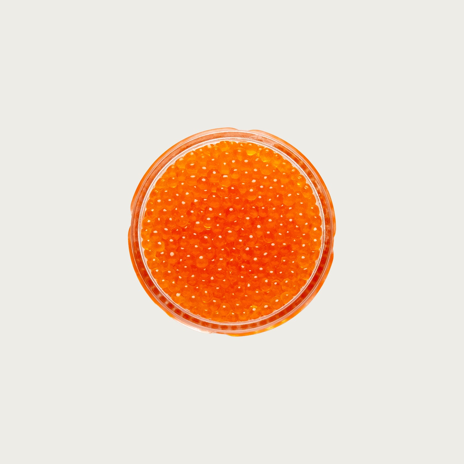 Trout Roe