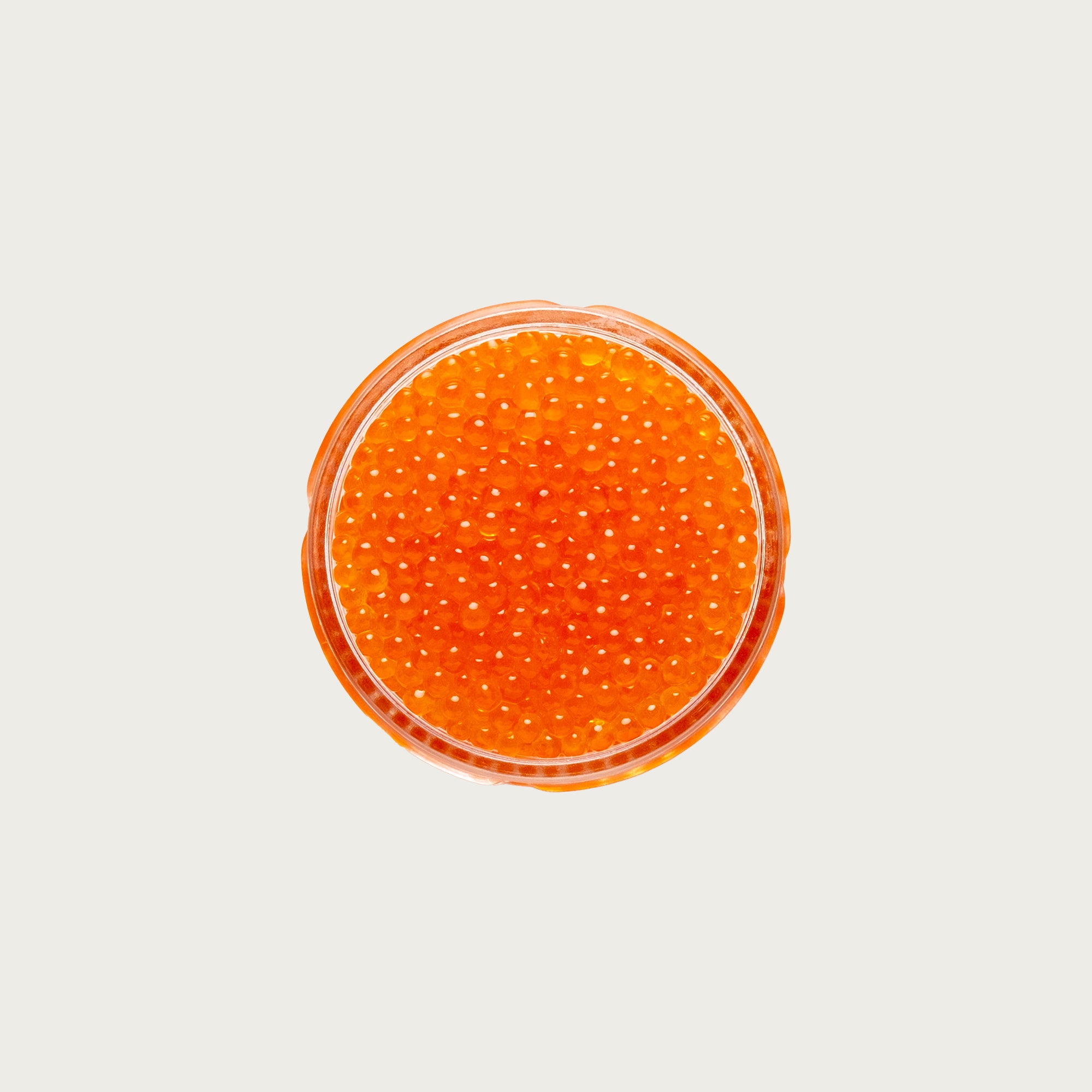 Trout Roe
